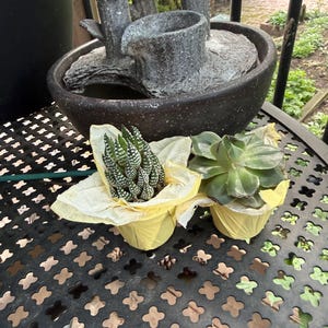 Etsy buyer added a photo of their purchase