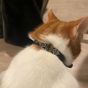 Kasey さんが購入した商品の写真を追加しました