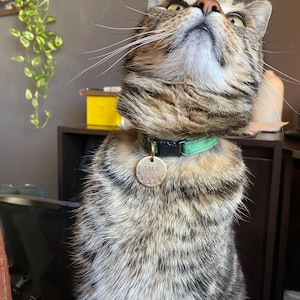 Whitney さんが購入した商品の写真を追加しました