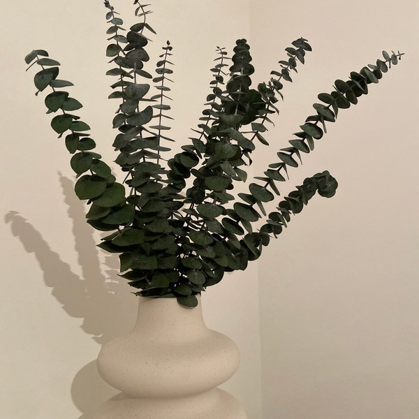 Preserved Eucalyptus Branches, DIY Flower Arrangement, Family Wedding ...