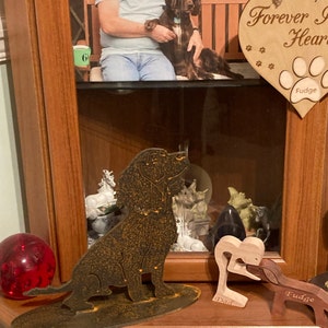 Ann added a photo of their purchase