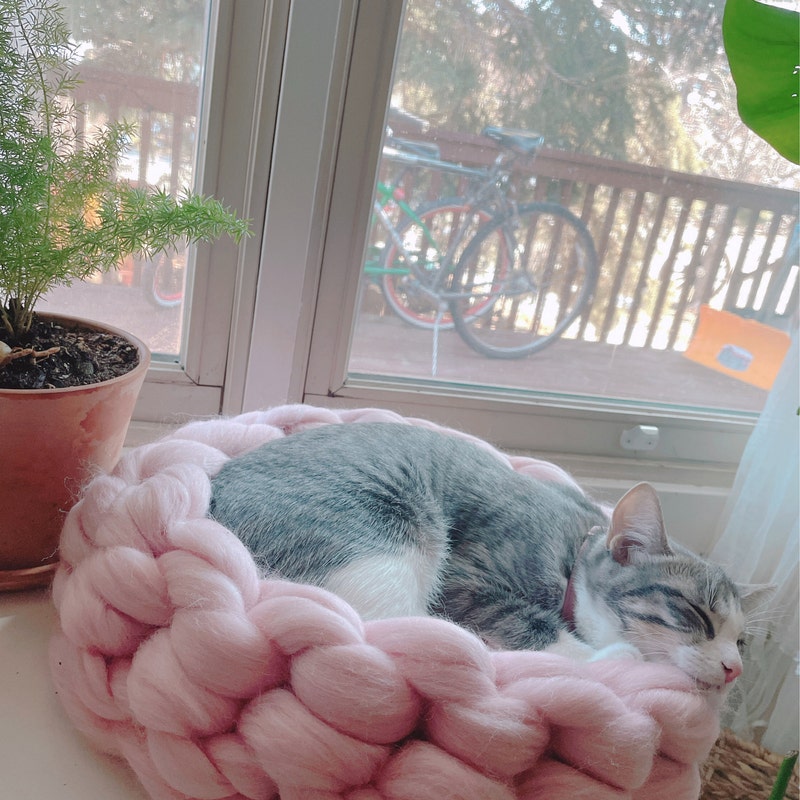 Customer photo of Merino Wool Pet Bed