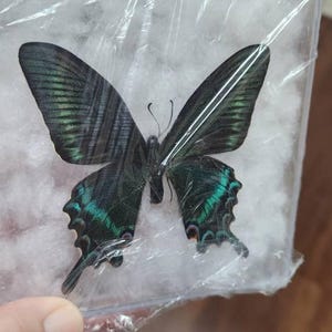 Etsy-koper heeft een foto van de aankoop toegevoegd