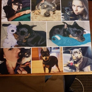 Luciana added a photo of their purchase