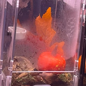 Andria added a photo of their purchase