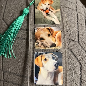 Matthew added a photo of their purchase