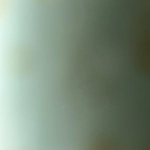 Josh added a photo of their purchase