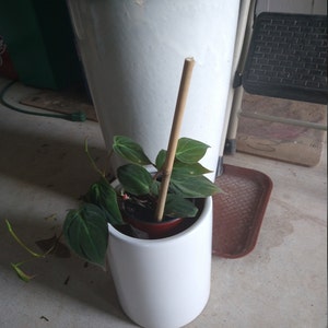 sara added a photo of their purchase