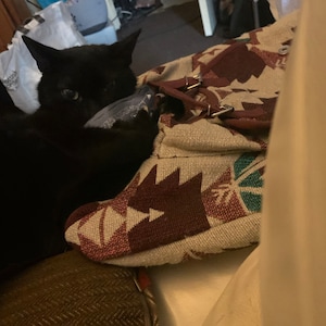 Jenny added a photo of their purchase