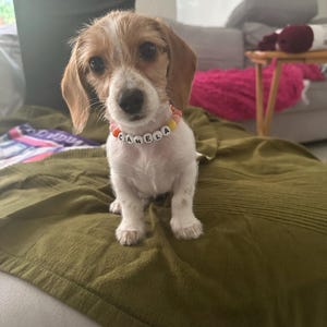 Daniela さんが購入した商品の写真を追加しました