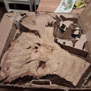 tiesha added a photo of their purchase