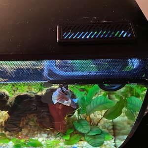 Bridget ha añadido una foto de su compra