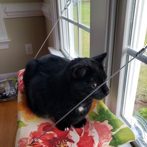 Lisa Hourmouzis added a photo of their purchase