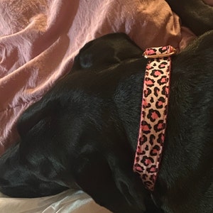 Malinda added a photo of their purchase