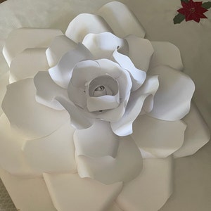 Mary added a photo of their purchase