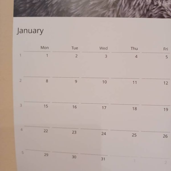 Caterpillar Wall Calendar 2025 Etsy