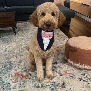 seersucker dog bow tie
