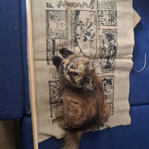 Delphine added a photo of their purchase