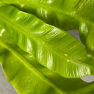 Rita added a photo of their purchase