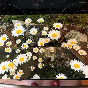 Martha ha añadido una foto de su compra