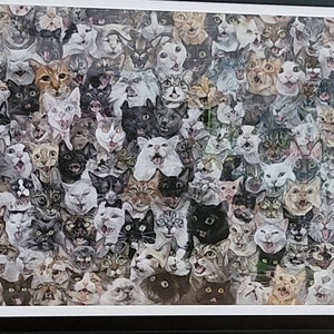 Kim added a photo of their purchase