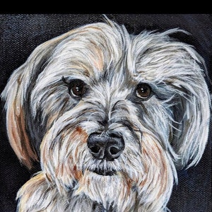 Steph added a photo of their purchase