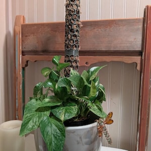 Scott added a photo of their purchase