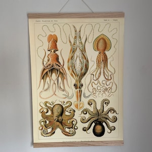 N added a photo of their purchase