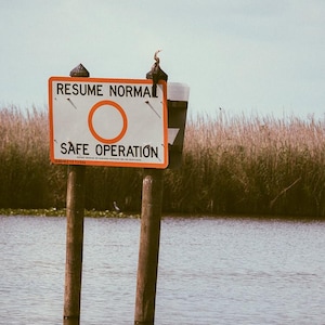 Russell added a photo of their purchase