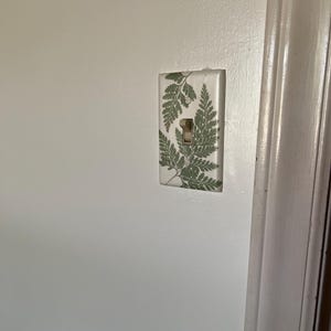 Moonbus ha añadido una foto de su compra