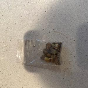 Carlos added a photo of their purchase
