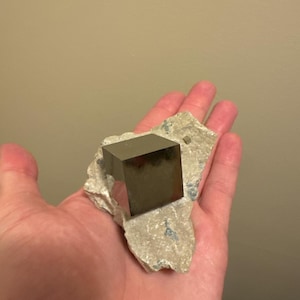 Jimmy hat ein Foto des gekauften Artikels hinzugefügt