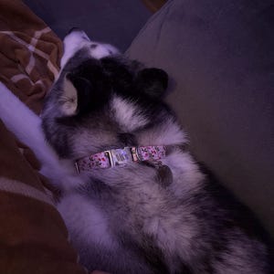 Reagan added a photo of their purchase
