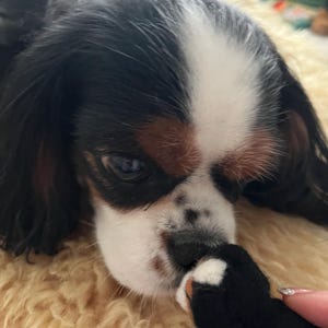 Maggie added a photo of their purchase