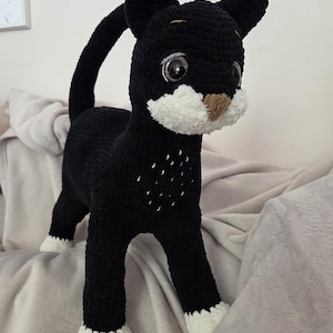 Kata added a photo of their purchase