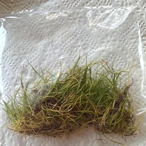 Clara added a photo of their purchase