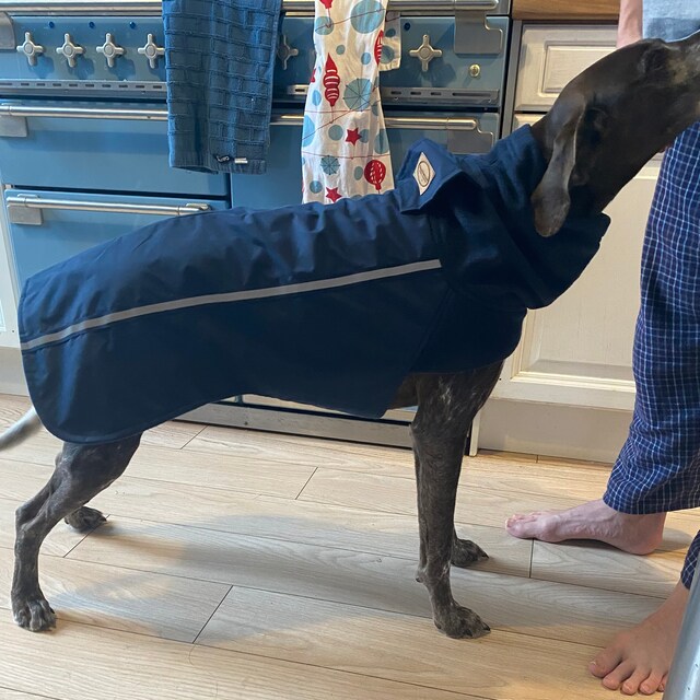 Beautifully crafted handmade dog coats by DashwoodDogCoats