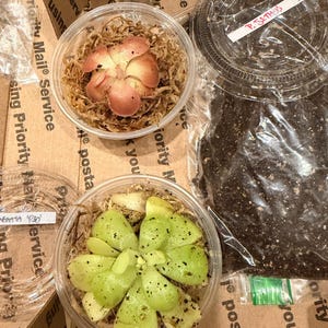 Myca added a photo of their purchase