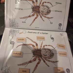 sarah added a photo of their purchase