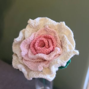 Rebecca added a photo of their purchase