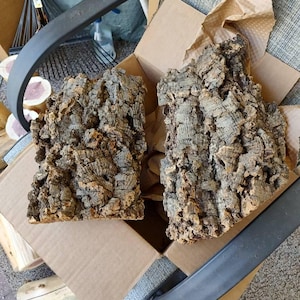 Dan adicionaram uma foto da sua compra