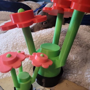 Patricia added a photo of their purchase