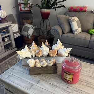 Robin added a photo of their purchase