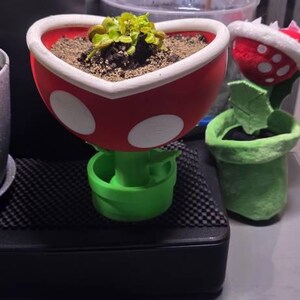 パックンフラワーの植木鉢｜マリオの植木鉢｜かっこいい植木鉢｜楽しい