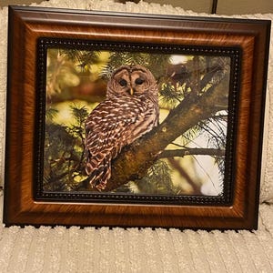 Donna added a photo of their purchase