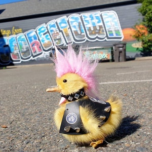 Taxidermy Punk Duck Punk Rocker Oddities Anarchy Skull Etsy