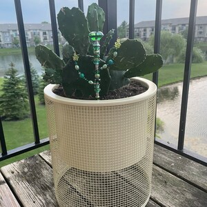 Danielle added a photo of their purchase
