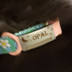 Colleen ha añadido una foto de su compra