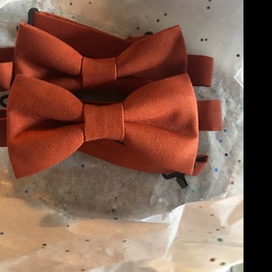 Sarah added a photo of their purchase