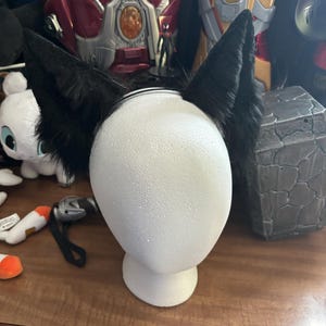 Conrad added a photo of their purchase